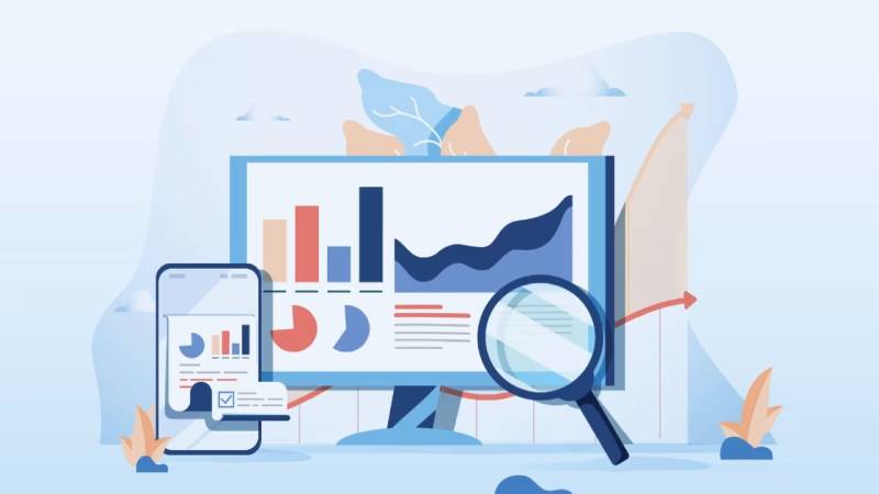 生物启发计算：水城县软件开发公司仿生算法开发平台